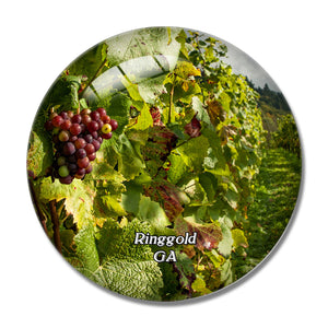 Ringgold Georgia Winery USA 3D Fridge Magnet Crystal Glass