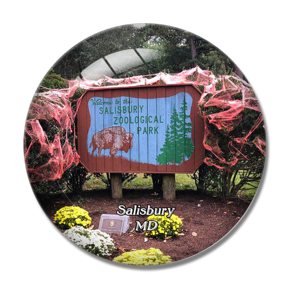 Salisbury Zoo Maryland USA 3D Fridge Magnet Crystal Glass