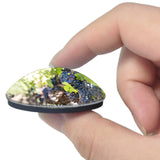 Santa Maria Vineyard California USA 3D Fridge Magnet Crystal Glass