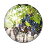 Santa Maria Vineyard California USA 3D Fridge Magnet Crystal Glass