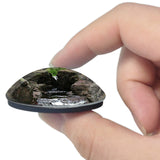 Schroeder Park Minnesota USA 3D Fridge Magnet Crystal Glass