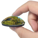 Scottsdale Cactus Arizona USA 3D Fridge Magnet Crystal Glass