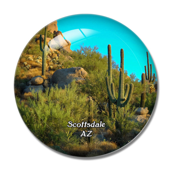 Scottsdale Cactus Arizona USA 3D Fridge Magnet Crystal Glass