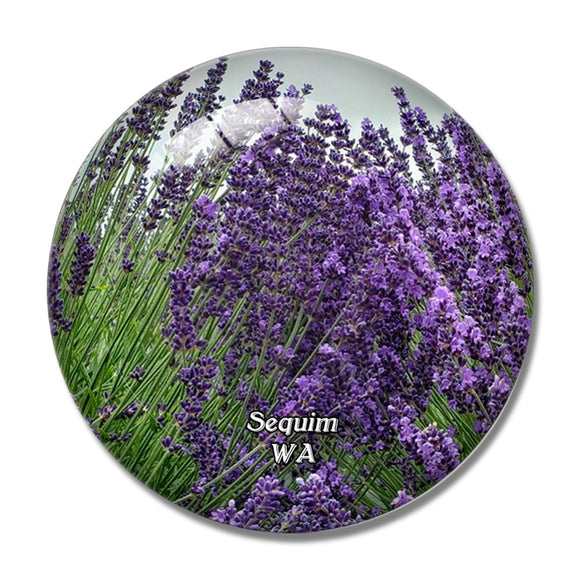 Sequim Family Farm Washington USA 3D Fridge Magnet Crystal Glass