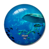 Shark Adventure Aquarium New Jersey USA 3D Fridge Magnet Crystal Glass