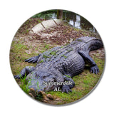 Summerdale Alligator Alley Alabama USA 3D Fridge Magnet Crystal Glass