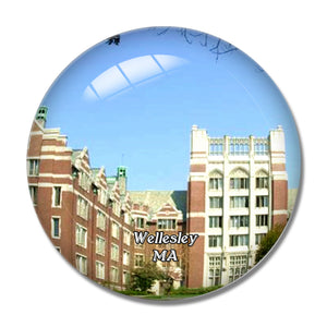 Wellesley College Massachusetts USA 3D Fridge Magnet Crystal Glass