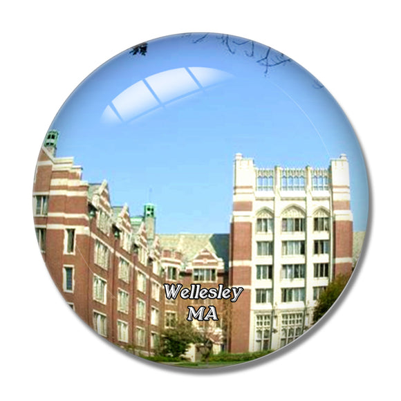 Wellesley College Massachusetts USA 3D Fridge Magnet Crystal Glass