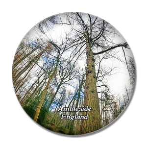 Ambleside Hawkshead Grizedale Forest UK England 3D Fridge Magnet Crystal Glass