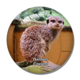 Banham Zoo UK England 3D Fridge Magnet Crystal Glass