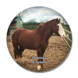 Bransby Horses UK England 3D Fridge Magnet Crystal Glass