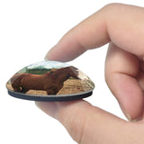Bransby Horses UK England 3D Fridge Magnet Crystal Glass