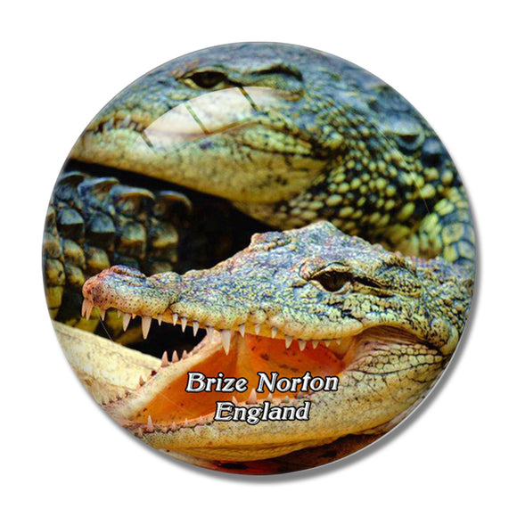 Brize Norton Crocodiles of the World UK England 3D Fridge Magnet Crystal Glass