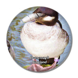 Burscough WWT Martin Mere Wetland Centre UK England 3D Fridge Magnet Crystal Glass