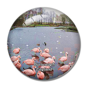 Burscough WWT Martin Mere Wetland Centre UK England 3D Fridge Magnet Crystal Glass