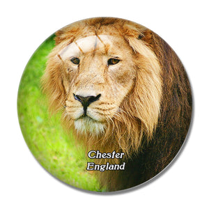 Chester Zoo UK England 3D Fridge Magnet Crystal Glass