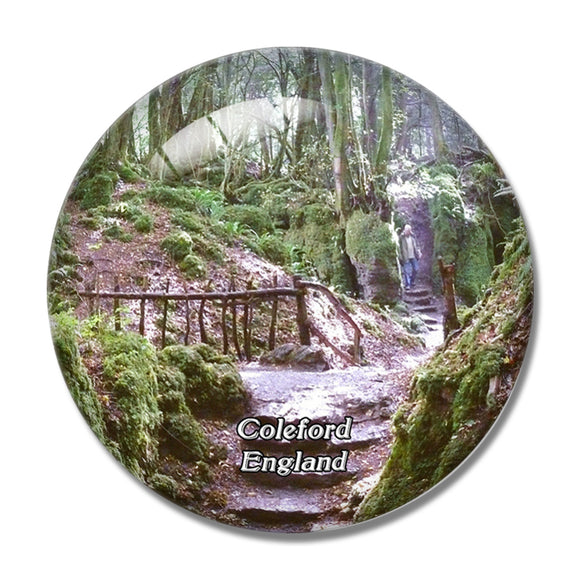 Cole Puzzlewood UK England 3D Fridge Magnet Crystal Glass