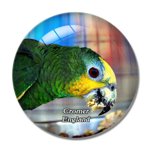 Cromer Amazona Zoo UK England 3D Fridge Magnet Crystal Glass