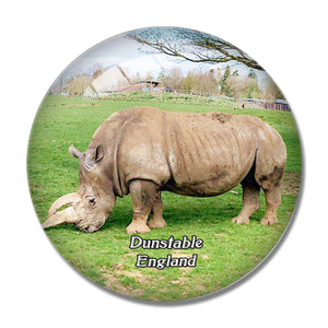 Dunstable ZSL Whipsnade Zoo UK England 3D Fridge Magnet Crystal Glass