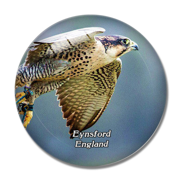 Eyns Eagle Heights Wildlife Foundation UK England 3D Fridge Magnet Crystal Glass