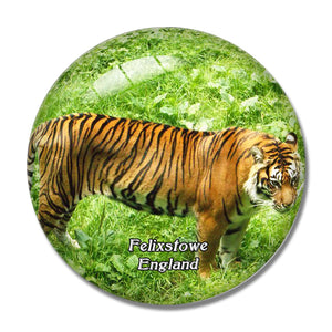 Filby Thrigby Hall Wildlife Gardens UK England 3D Fridge Magnet Crystal Glass