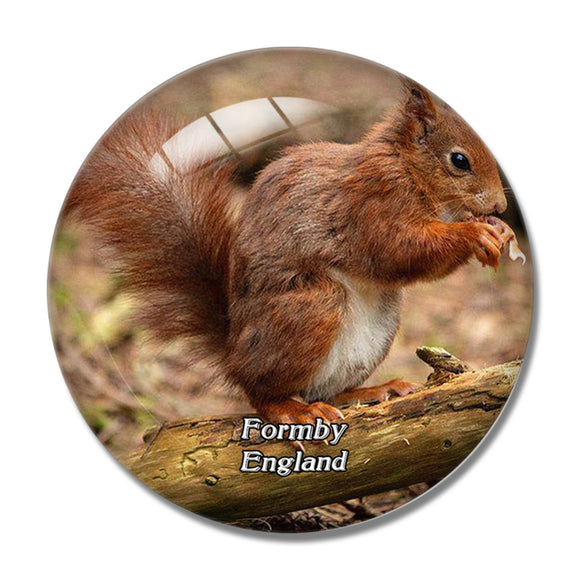 Formby Freshfield Squirrel Reserve UK England 3D Fridge Magnet Crystal Glass