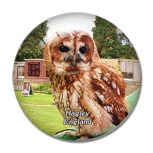 Hagley The Falconry Centre UK England 3D Fridge Magnet Crystal Glass