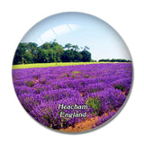 Heacham Norfolk Lavender UK England 3D Fridge Magnet Crystal Glass