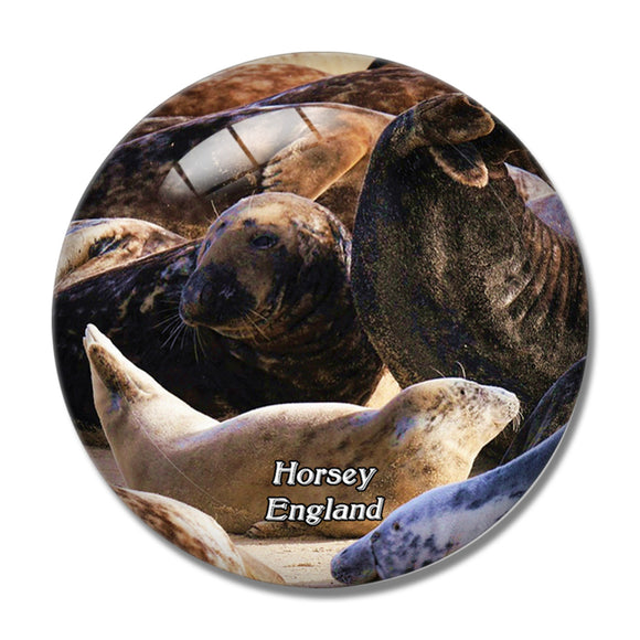 Horsey Beach UK England 3D Fridge Magnet Crystal Glass