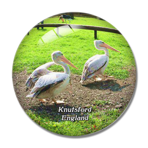 Knuts Gauntlet Birds of Prey UK England 3D Fridge Magnet Crystal Glass