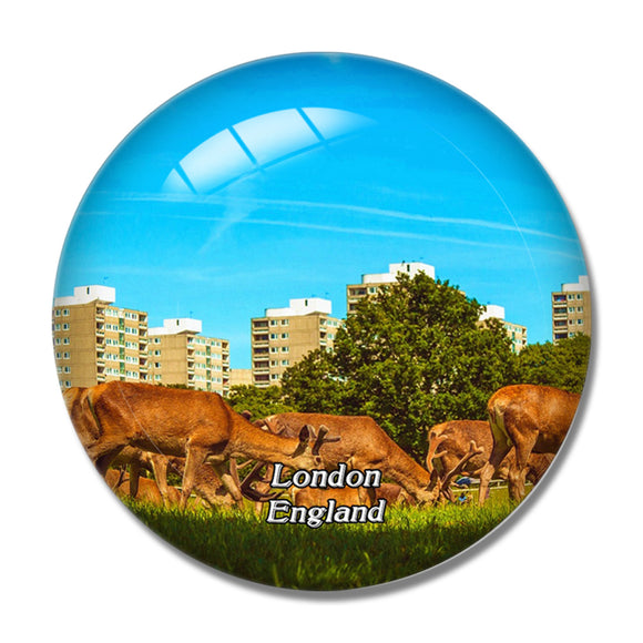 London Richmond Park UK England 3D Fridge Magnet Crystal Glass