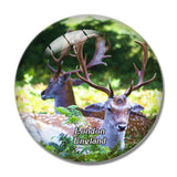 London Richmond Park UK England 3D Fridge Magnet Crystal Glass