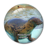 Mablethorpe Seal Sanctuary and Wildlife Centre UK England 3D Fridge Magnet Crystal Glass
