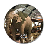 Natural History Museum at Tring UK England 3D Fridge Magnet Crystal Glass