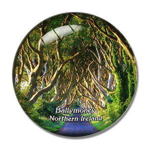 Northern Ireland Ballymoney The Dark Hedges UK England 3D Fridge Magnet Crystal Glass