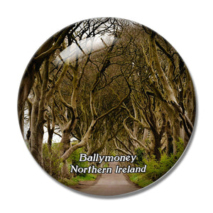 Northern Ireland Ballymoney The Dark Hedges UK England 3D Fridge Magnet Crystal Glass