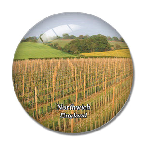 Norwich Winbirri Vineyards UK England 3D Fridge Magnet Crystal Glass