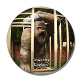 Oswestry British Ironworks Centre & Shropshire Sculpture Park UK England 3D Fridge Magnet Crystal Glass