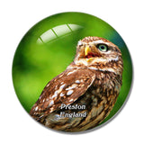 Preston Turbary Woods Owl and Bird of Prey Sanctuary 1 UK England 3D Fridge Magnet Crystal Glass