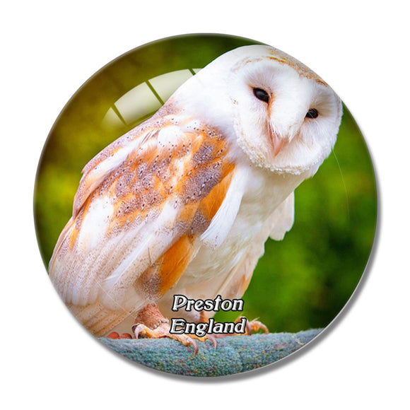 Preston Turbary Woods Owl and Bird of Prey Sanctuary UK England 3D Fridge Magnet Crystal Glass