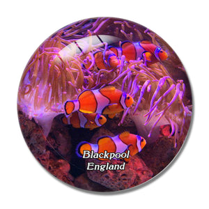 Sea Life Blackpool UK England 3D Fridge Magnet Crystal Glass