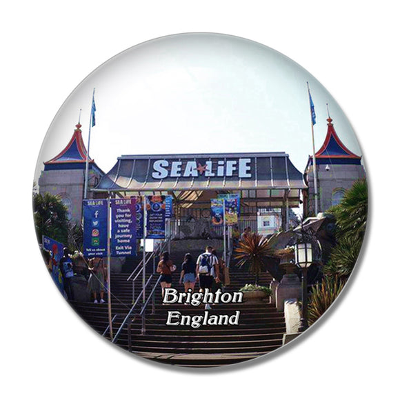 Sea Life Brighton UK England 3D Fridge Magnet Crystal Glass