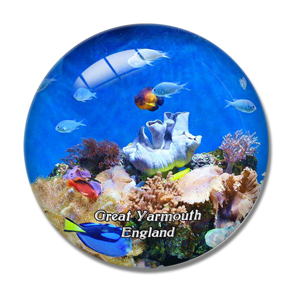 Sea Life Centre Great Yarmouth UK England 3D Fridge Magnet Crystal Glass