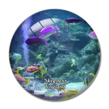 Skegness Aquarium UK England 3D Fridge Magnet Crystal Glass