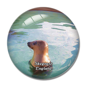 Skegness Natureland Seal Sanctuary UK England 3D Fridge Magnet Crystal Glass