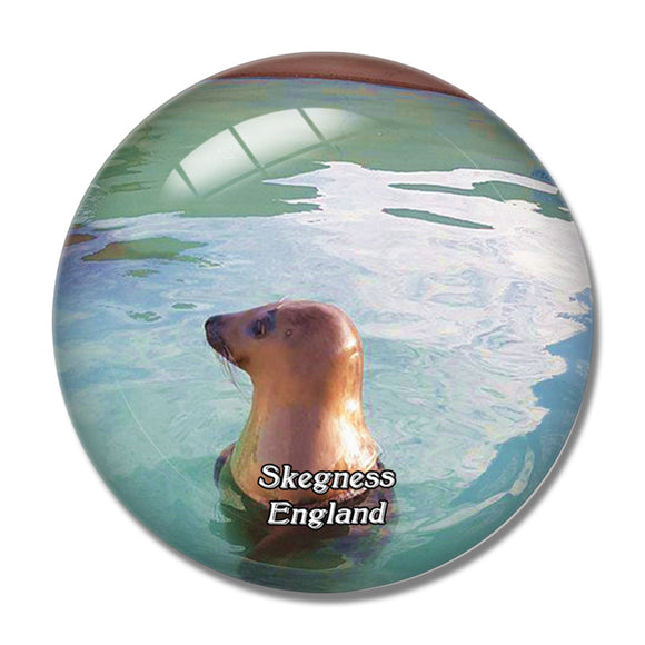 Skegness Natureland Seal Sanctuary UK England 3D Fridge Magnet Crystal Glass