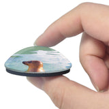 Skegness Natureland Seal Sanctuary UK England 3D Fridge Magnet Crystal Glass