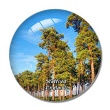 Staf Cannock Chase UK England 3D Fridge Magnet Crystal Glass