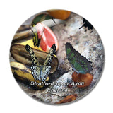 Strat-upon-Avon Butterfly Farm UK England 3D Fridge Magnet Crystal Glass