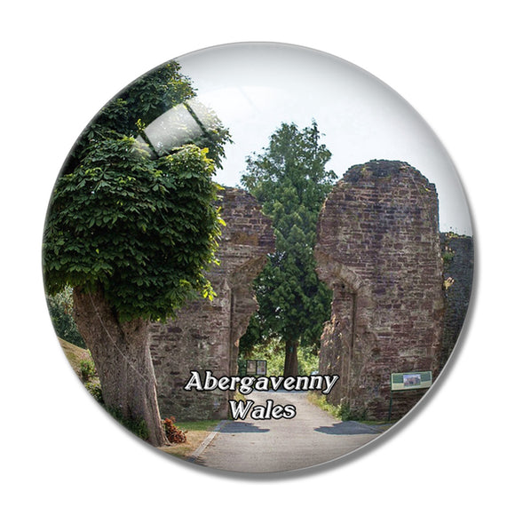 Wales Abergavenny Museum and Castle UK England 3D Fridge Magnet Crystal Glass